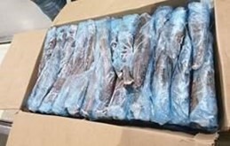 MELUZA HAKE 600 – 800 20 Kg